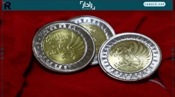 ارتفاع سعر الدولار في مصر مع تدفق استثمارات أجنبية غير مسبوقة